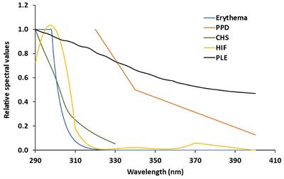 Booster Effect of a Natural Extract of Polypodium leucotomos (Fernblock®) That Improves the UV Barrier Function and Immune Protection Capability of Sunscreen Formulations